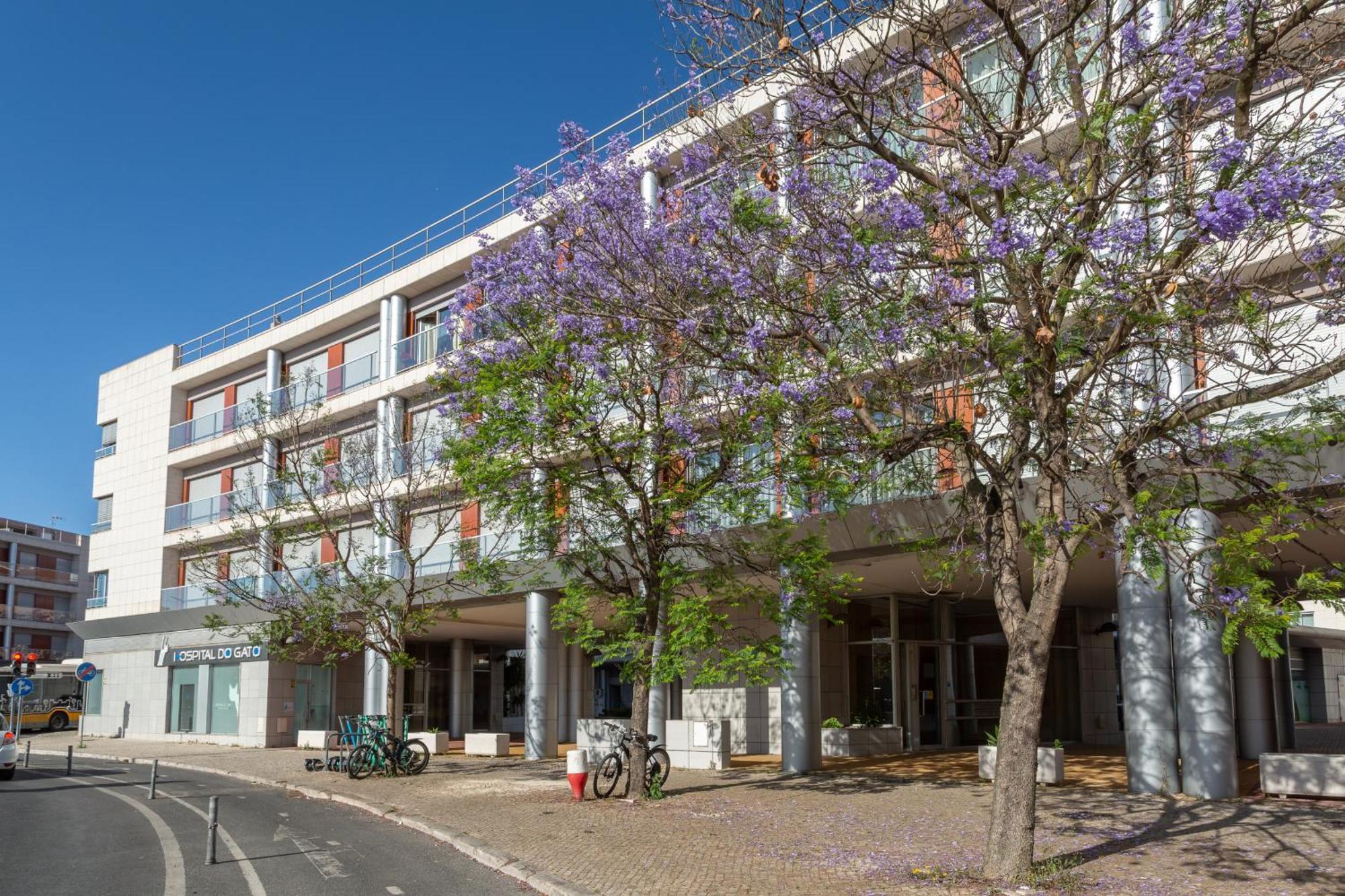 Beguest Premium Lisbon Suites Exterior photo